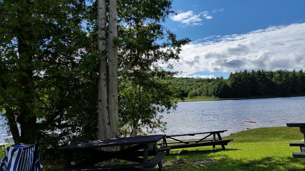 Sandisfield State Forest | York Lake Road, Sandisfield, MA 01255 | Phone: (413) 229-8212