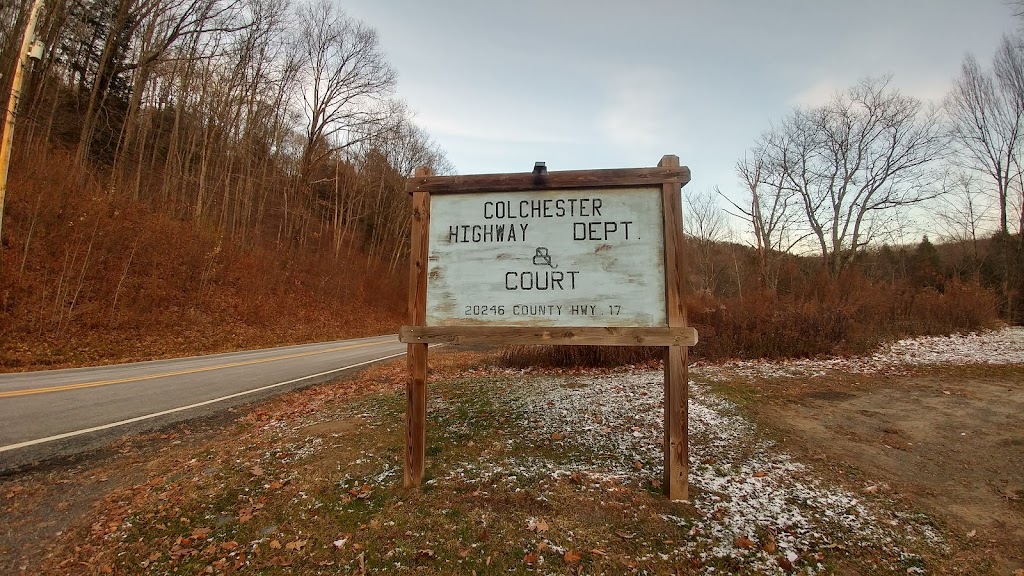 Colchester Town Court (Cooks Falls) | 20246 Old, NY-17, Roscoe, NY 12776 | Phone: (607) 498-5774