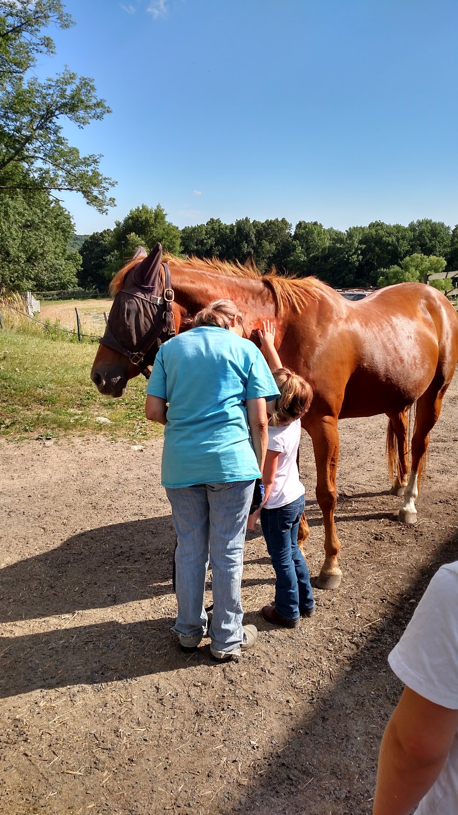 Babcock Hill Horses Naturally | 577 Babcock Hill Rd, Coventry, CT 06238 | Phone: (860) 985-7611