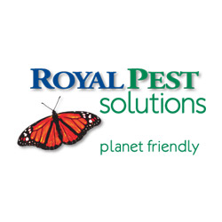 Royal Pest Solutions | 981 S Bolmar St STE B, West Chester, PA 19382 | Phone: (610) 918-6241