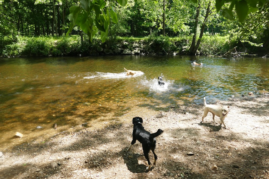 Southbury Dog Park | 236 Roxbury Rd, Southbury, CT 06488 | Phone: (860) 836-1775