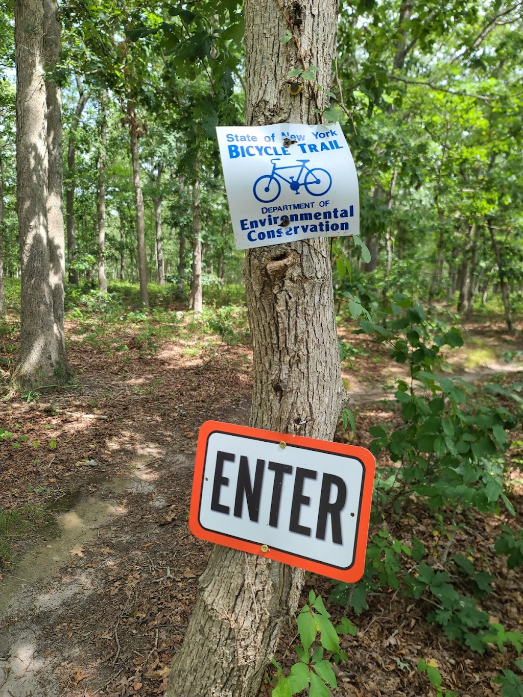 Calverton Mountain Bike Trail | Middle Country Rd, Wading River, NY 11933 | Phone: (631) 444-0270