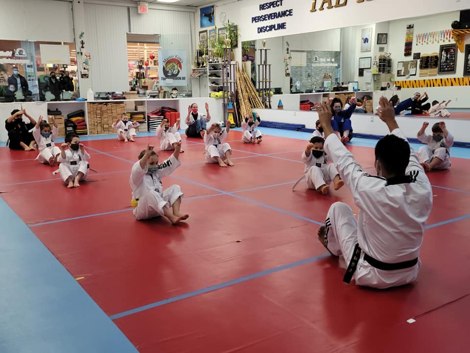 Master Kims Tiger Tae Kwon Do | In the Kinnelon Mall, 25 Kinnelon Rd, Kinnelon, NJ 07405 | Phone: (973) 838-1000