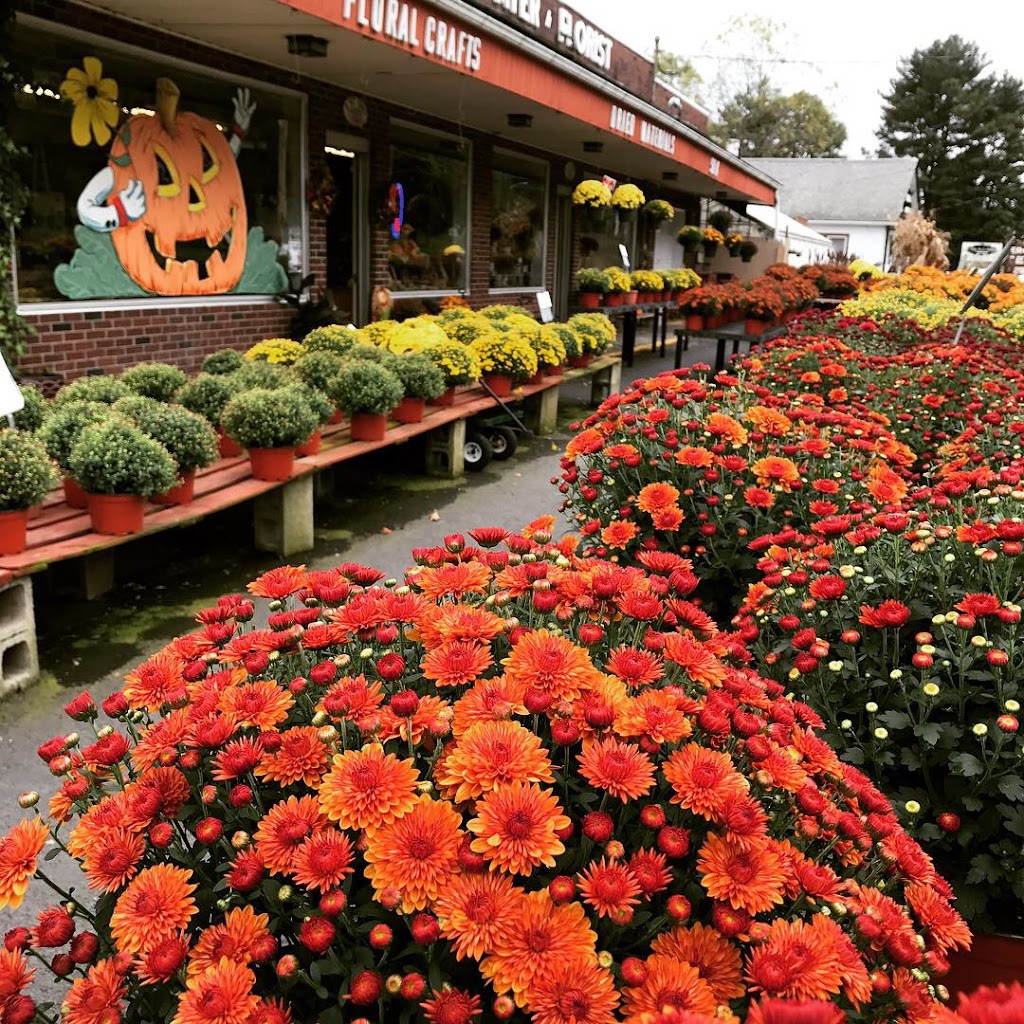 Myer the Florist | 590 Rt 6 &, 209, Milford, PA 18337 | Phone: (570) 296-6468