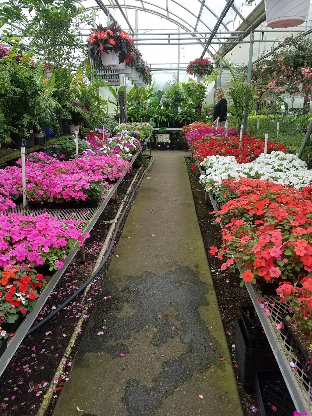 Sea Grove Garden Center | 2661 US-9, Ocean View, NJ 08230 | Phone: (609) 624-3540