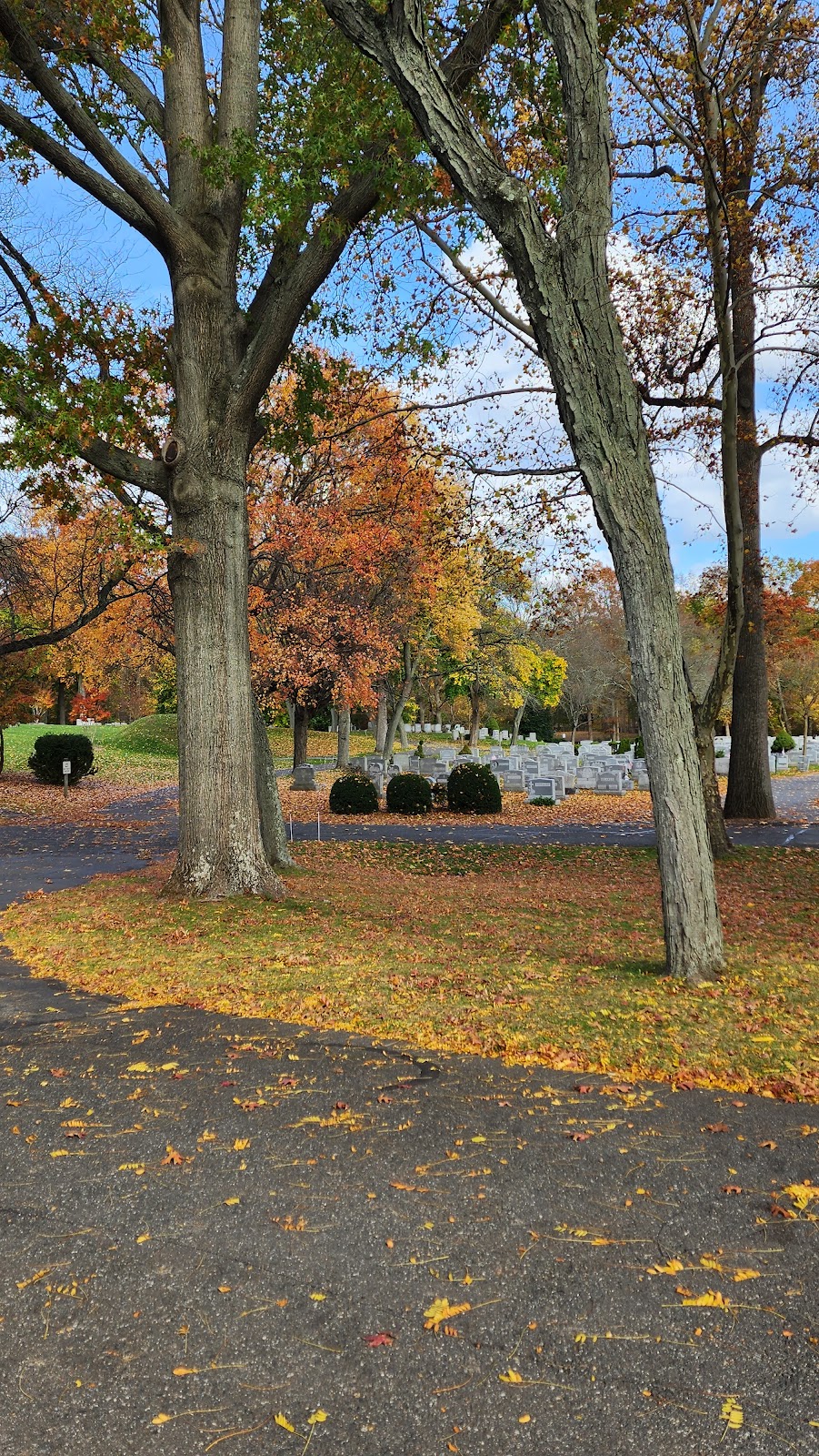 Hazelwood Cemetery | 64 Lake Ave, Colonia, NJ 07067 | Phone: (732) 381-2200