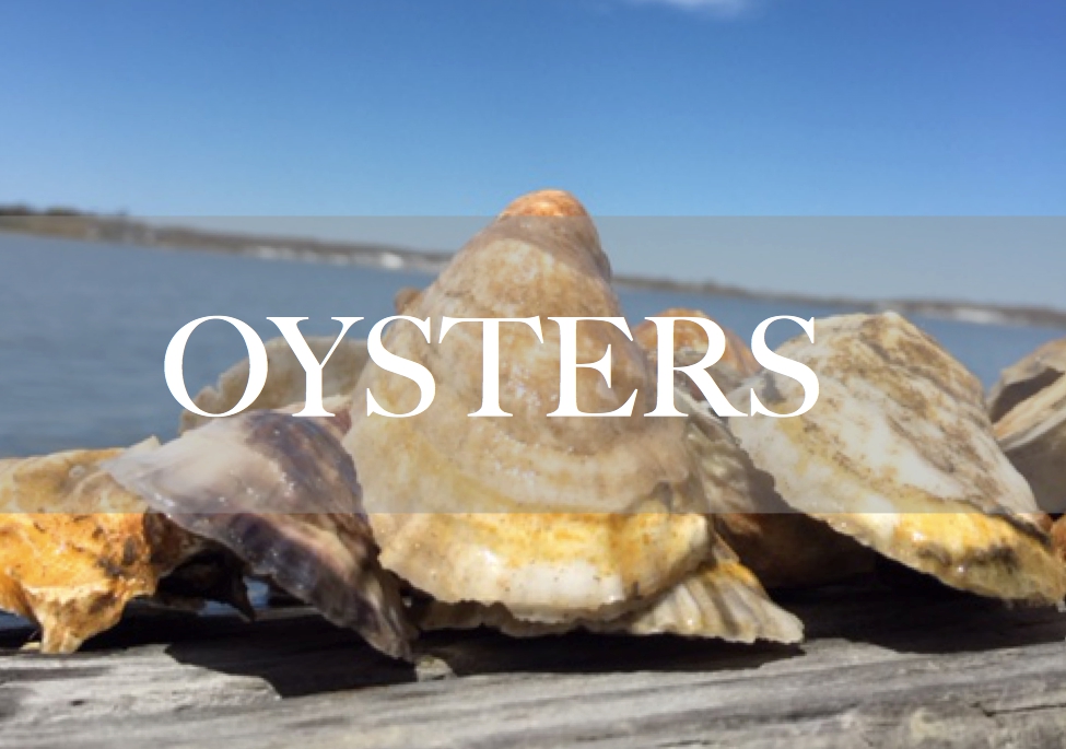 Southold Bay Oysters | 10273 N Bayview Rd, Southold, NY 11971 | Phone: (914) 602-3339
