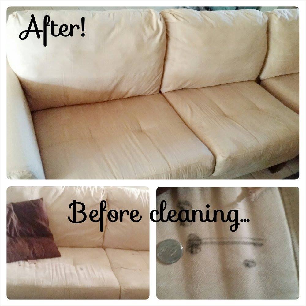 Carpet Cleaning Guy | 193 Cassa Loop, Holtsville, NY 11742 | Phone: (631) 588-2793