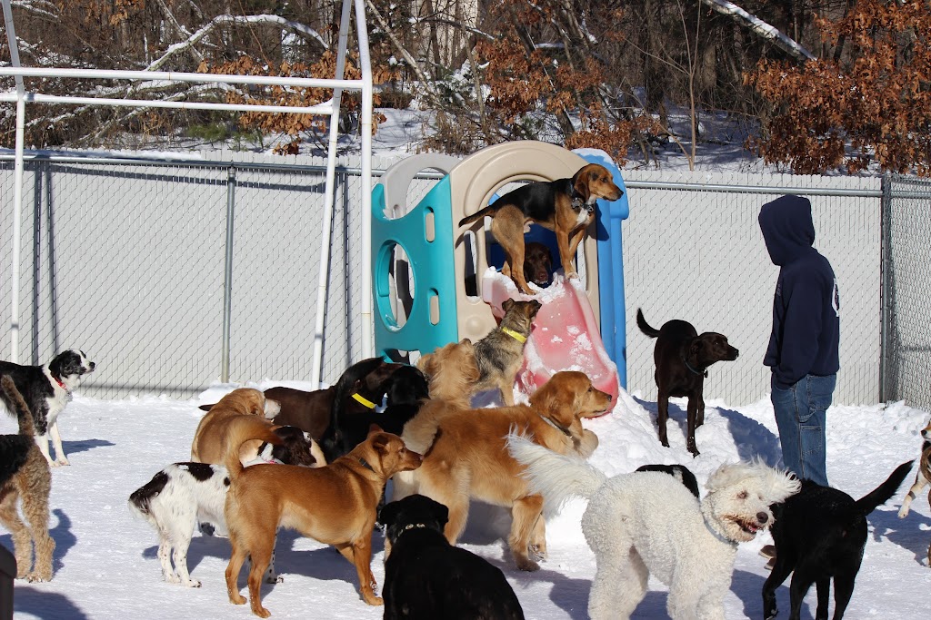 Roaring Brook Kennels | 60 Lovely St, Canton, CT 06019 | Phone: (860) 693-0603