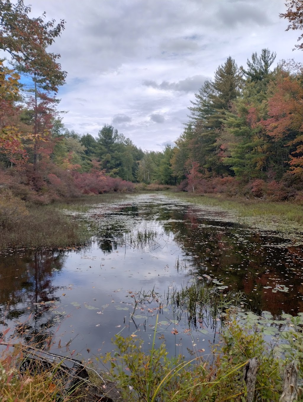 Catskills Lake Cabins | 1398 Ulster Heights Rd, Ellenville, NY 12428 | Phone: (917) 273-9055