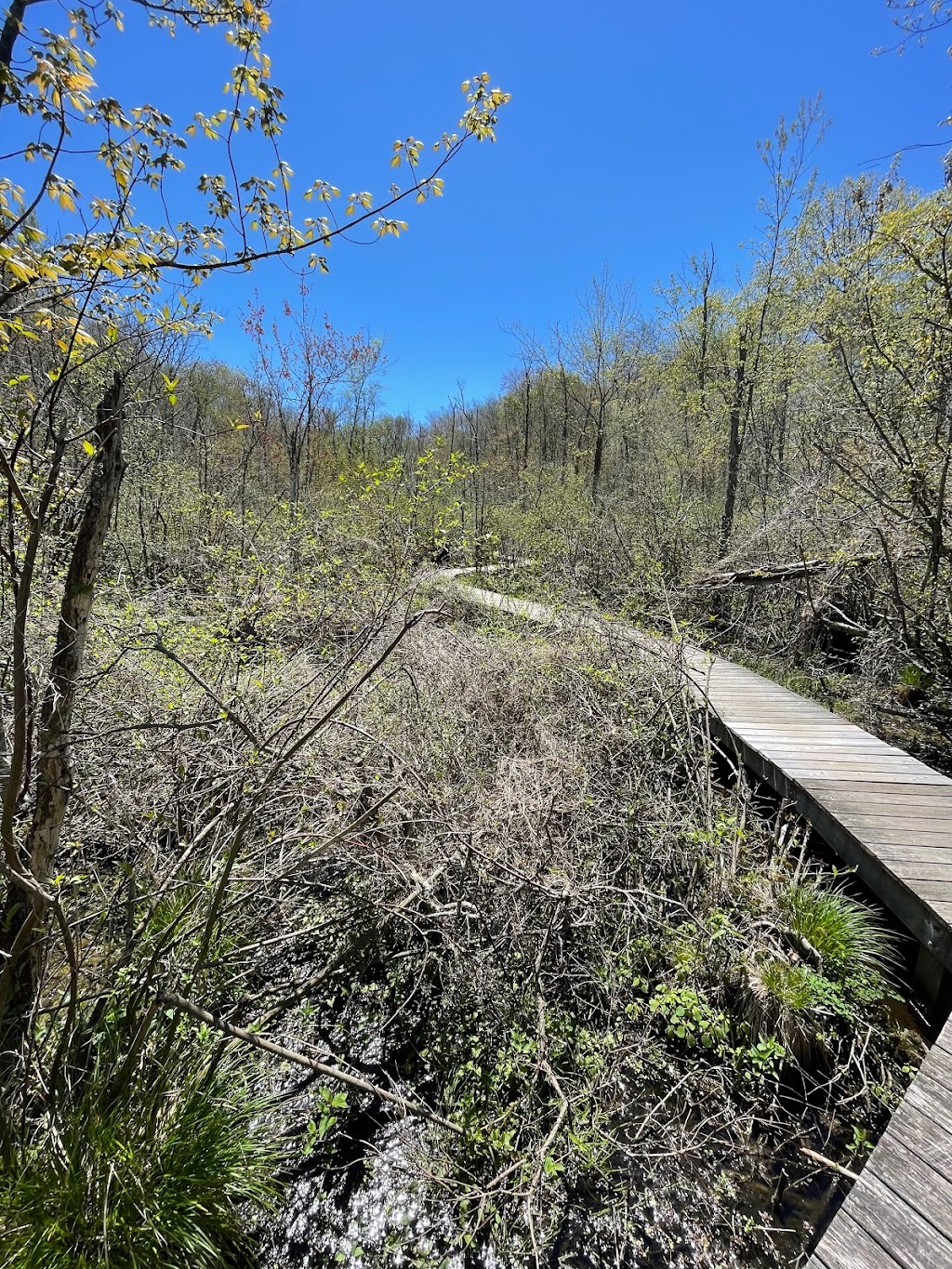 Fairchild Wildflower Sanctuary | Greenwich, CT 06831 | Phone: (203) 869-5272