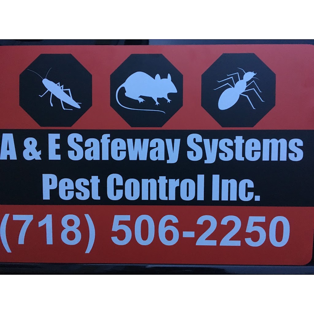 A and E Safeway Systems Pest Control Inc. | 189 Schofield St, The Bronx, NY 10464 | Phone: (718) 220-1410
