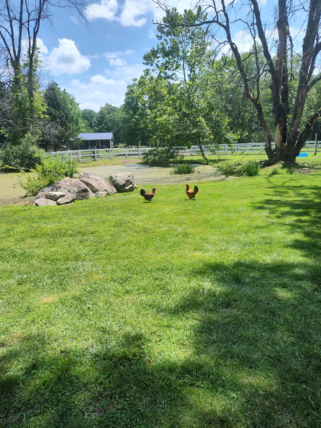 Grayrock Farm Sanctuary | 85 Grayrock Rd, Clinton, NJ 08809 | Phone: (908) 343-9624