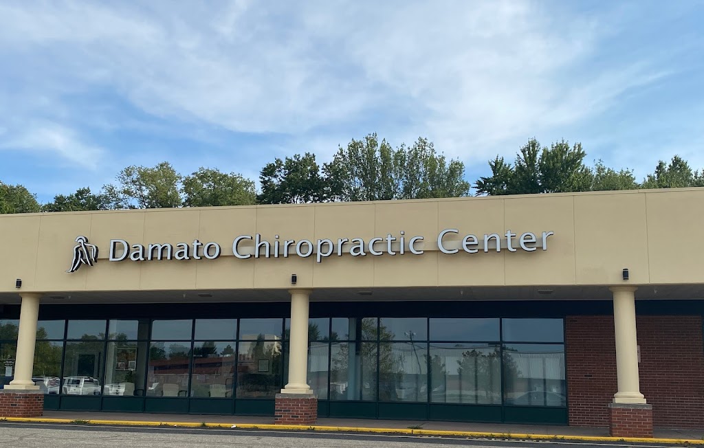 Damato Chiropractic Center | 123 Lowrey Pl, Newington, CT 06111 | Phone: (860) 436-2065