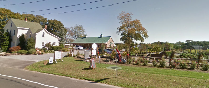 Shade Trees Nursery Inc. | 1875 Main Rd, Jamesport, NY 11947 | Phone: (631) 722-4041