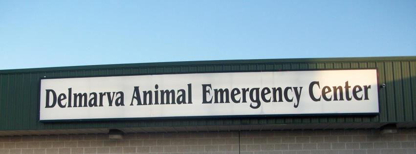 Delmarva Animal Emergency Center | 1482 E Lebanon Rd, Dover, DE 19901 | Phone: (302) 697-0850