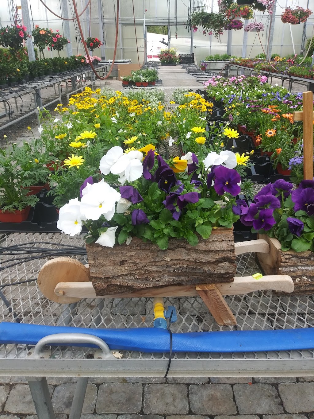 Filchners Plants & Produce | 548 Monocacy Dr, Bath, PA 18014 | Phone: (610) 837-9582