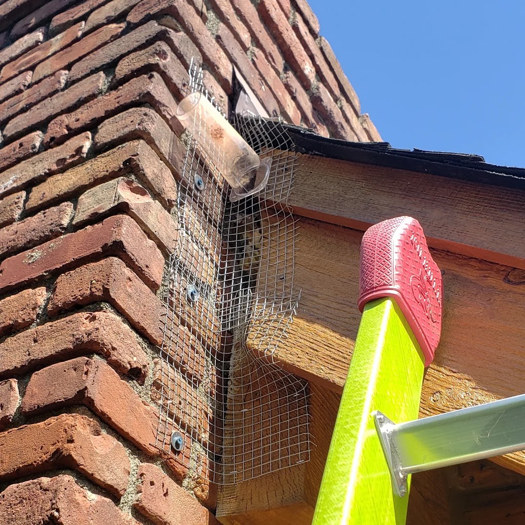 Precision Termite & Pest Control | 100 Hampton House Rd, Newton, NJ 07860 | Phone: (973) 729-7378