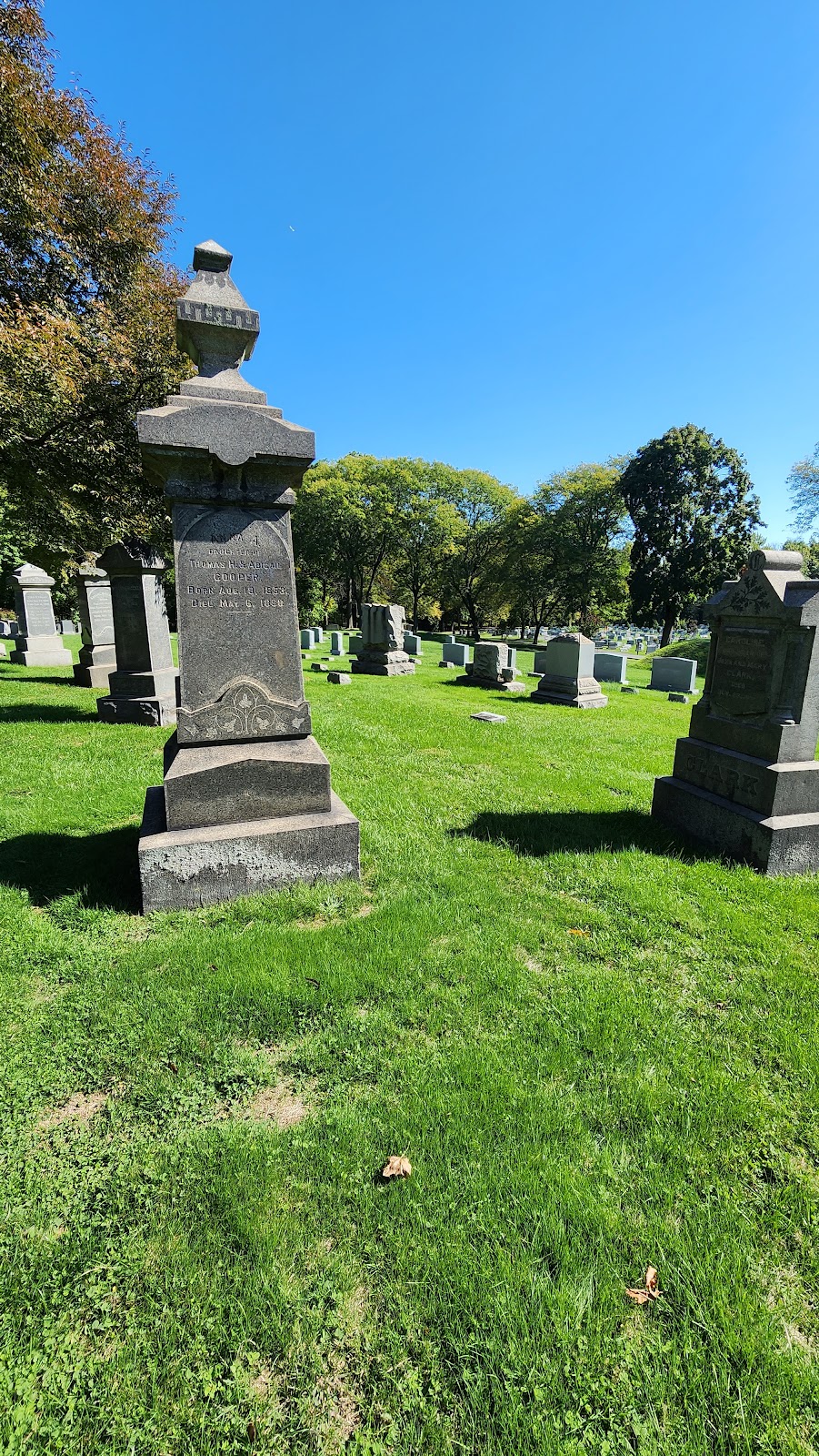 Hazelwood Cemetery | 64 Lake Ave, Colonia, NJ 07067 | Phone: (732) 381-2200