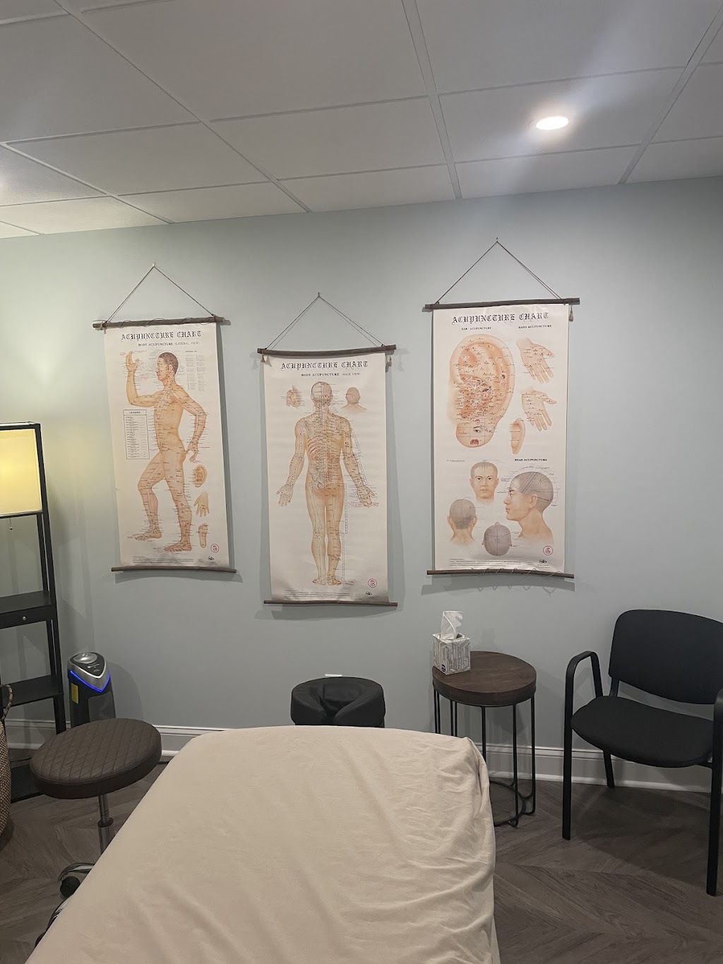DelCollo Acupuncture | 842 E Street Rd Second Floor, West Chester, PA 19382 | Phone: (484) 888-3326