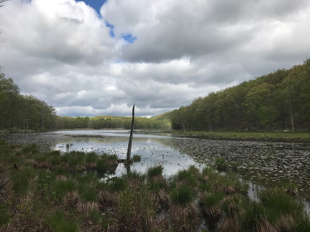 Bennetts Pond State Park | 550-698 Bennetts Farm Rd, Ridgefield, CT 06877 | Phone: (860) 424-3000