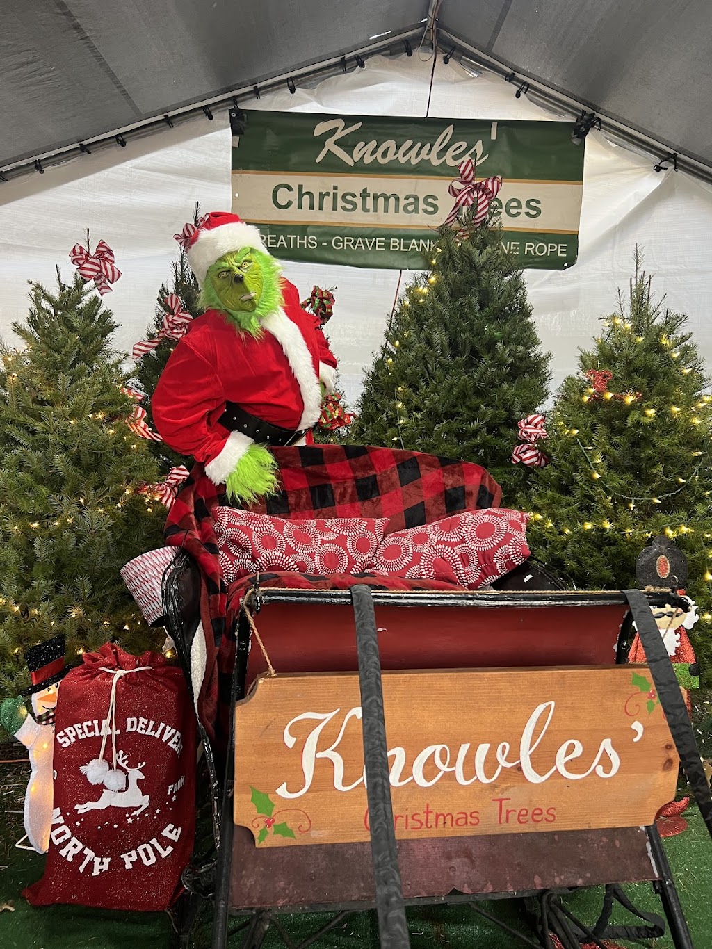 Knowles Christmas Trees and Seasonal Flowers | 5639 Bensalem Blvd, Bensalem, PA 19020 | Phone: (267) 566-6519