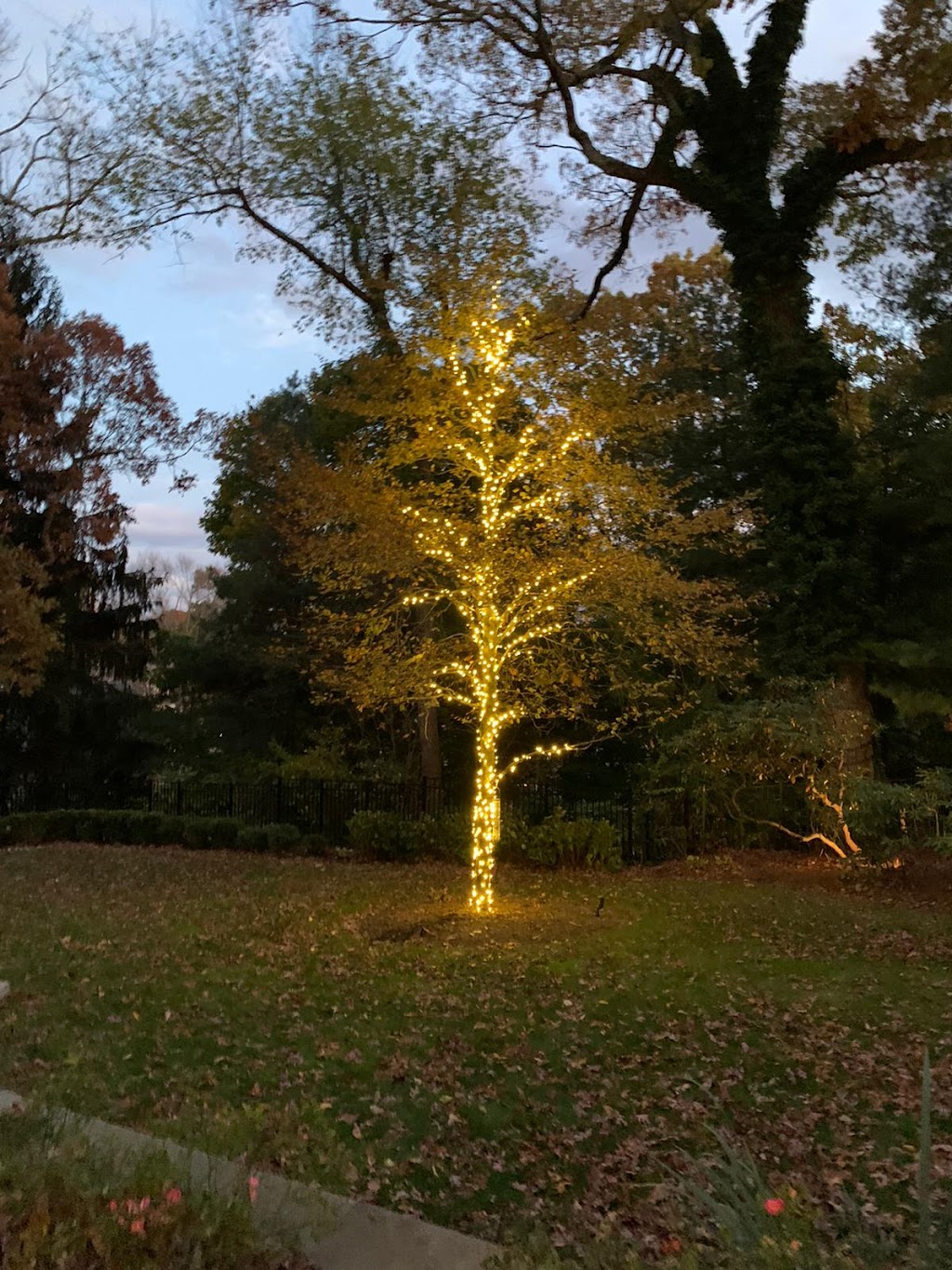 We Put Up Christmas Lights of Glen Ridge | 213 Sherman Ave, Glen Ridge, NJ 07028 | Phone: (973) 381-8794