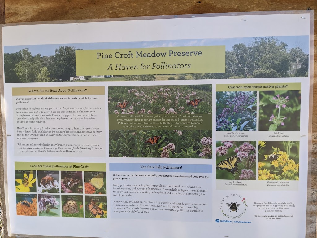 Pine Croft Meadow Preserve | Pine Croft Meadow Preserve, 102 Mead St, Waccabuc, NY 10597 | Phone: (914) 234-6992
