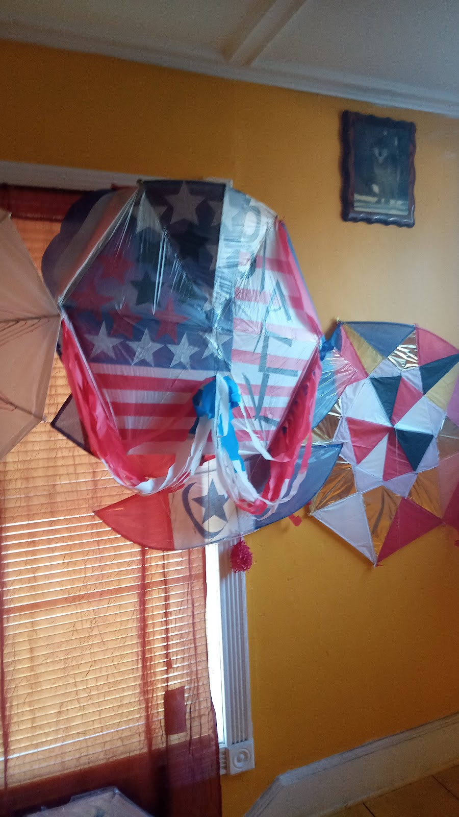 I Custom Kites | 32 Belford Ave, Bay Shore, NY 11706 | Phone: (516) 412-2445