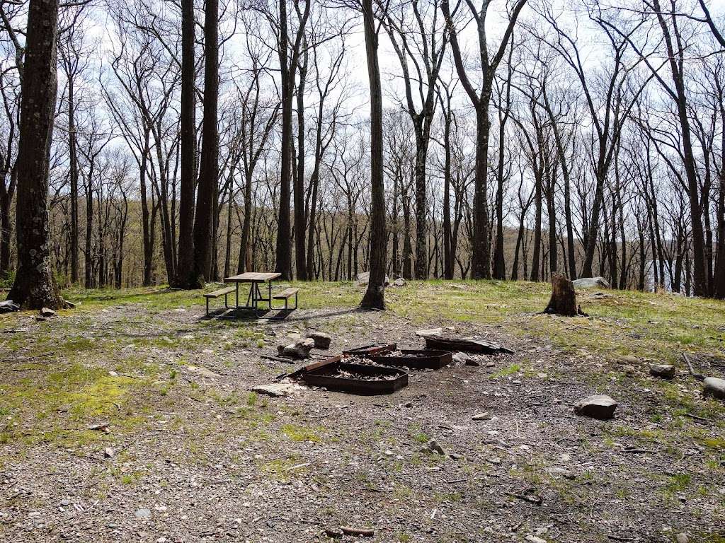 Tiorati Plateau Campground (Reservation Required) | Woodbury, NY 10975 | Phone: (845) 429-8257