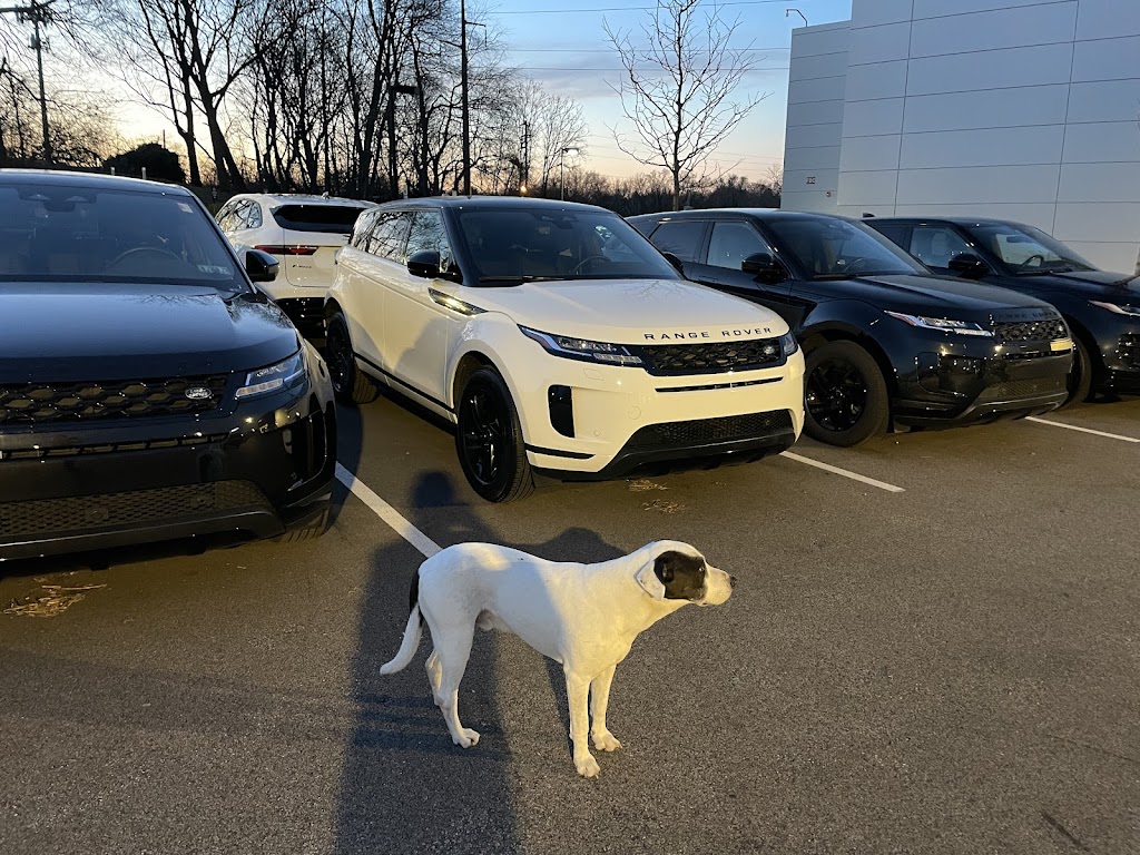 Land Rover Willow Grove | 900 S York Rd, Willow Grove, PA 19090 | Phone: (215) 443-5900