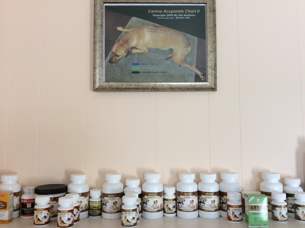 Veterinary Acupuncture and Herbal Medicine | 90 Pond Meadow Rd Unit #3, Ivoryton, CT 06442 | Phone: (860) 739-2830
