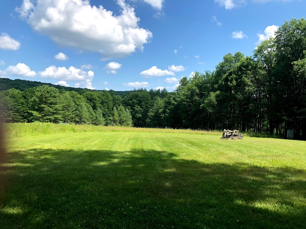 Kingswood Campsite | 1500 Hathaway Pond Rd, Hancock, NY 13783 | Phone: (607) 637-5401