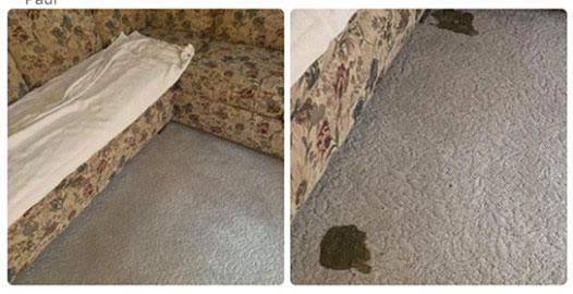 Mark IV Carpet Cleaning Service | 120 Hillside Dr, North Haledon, NJ 07508 | Phone: (973) 427-0040