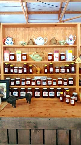 Halters Farm Market | 74 S Hook Rd, Pennsville Township, NJ 08070 | Phone: (856) 514-2989