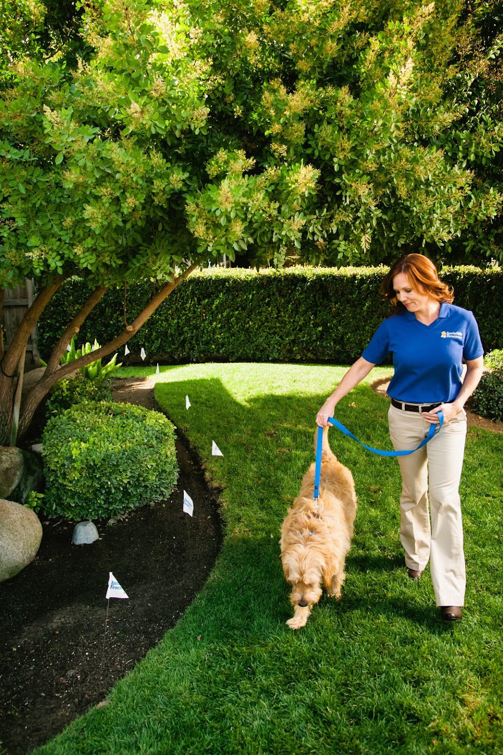 Invisible Fence Brand by Boundaries For Pets | 29 Bell Dr, Lakeville, CT 06039 | Phone: (860) 435-0064