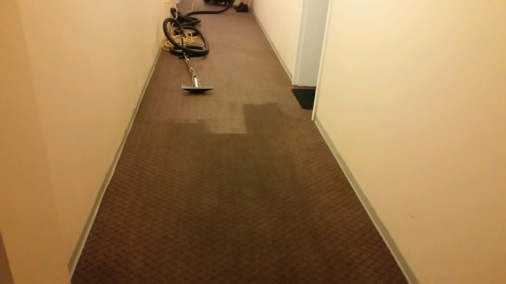 Brighter Tomorrows Carpet Cleaning | 728 N William St, Baldwin, NY 11510 | Phone: (516) 639-7013