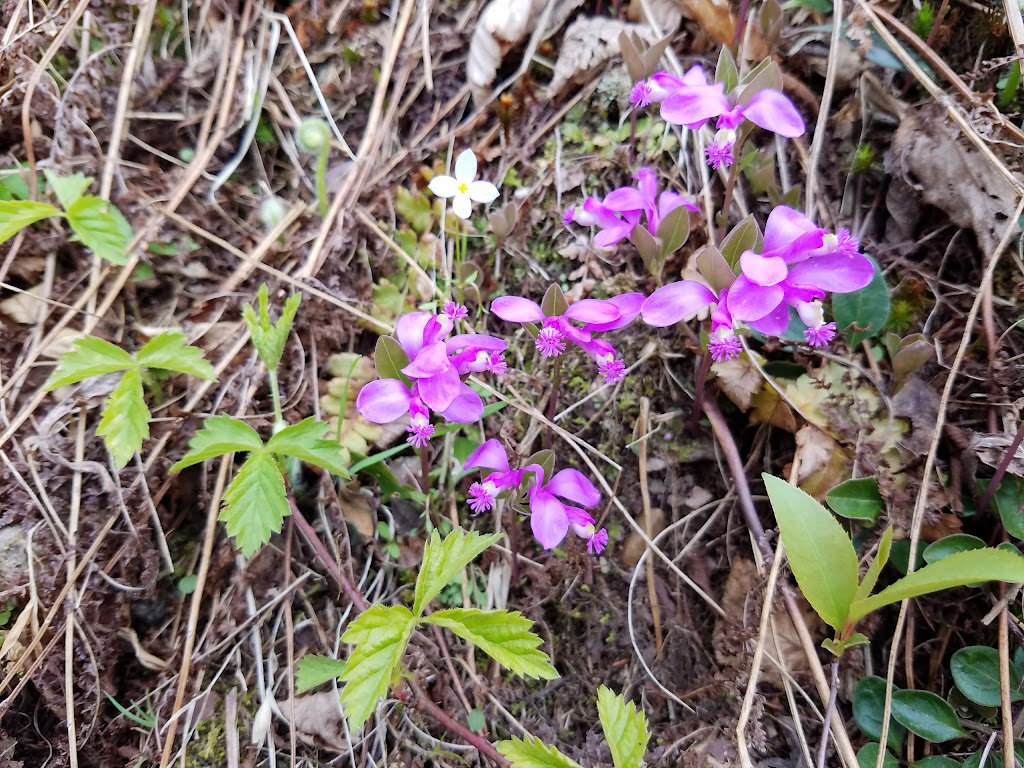 Cherry Valley National Wildlife Refuge | Stroudsburg, PA 18360 | Phone: (973) 702-7266