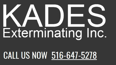 Kades Exterminating Inc | 3934 De Reimer Ave, The Bronx, NY 10466 | Phone: (516) 647-5278