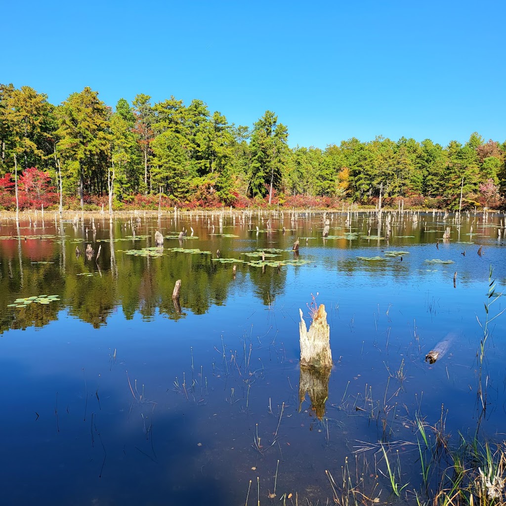 Greenwood Forest Wildlife Management Area | Barnegat, NJ 08005 | Phone: (609) 984-0547