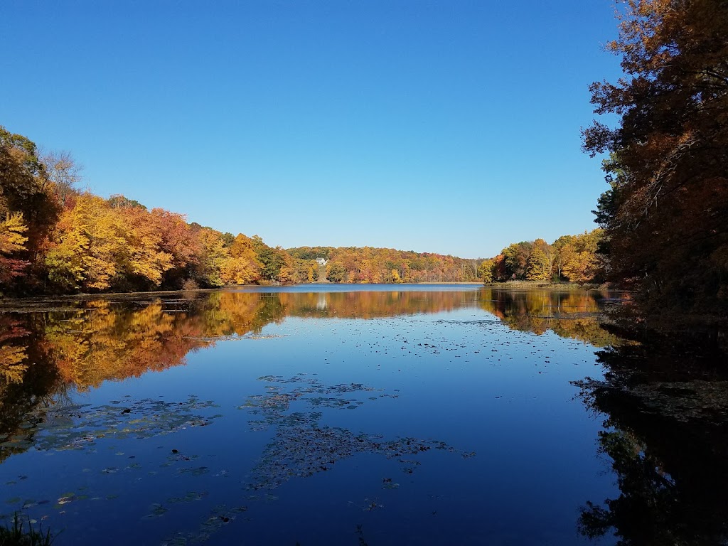 Macedonia Brook State Park | 159 Macedonia Brook Rd, Kent, CT 06757 | Phone: (860) 927-4100