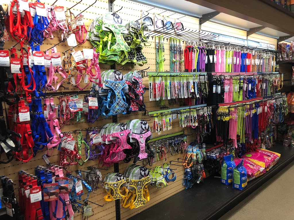 Gentle Jungle Pet Store | 470 Lewis Ave, Meriden, CT 06451 | Phone: (203) 238-0507