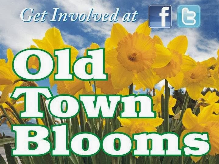 Old Town Blooms | 194-4 Morris Ave, Holtsville, NY 11742 | Phone: (631) 286-6053