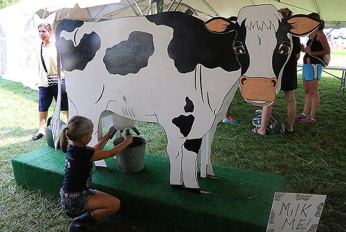 Warren County Farmers Fair featuring the Balloon Festival | 1350 Strykers Rd, Phillipsburg, NJ 08865 | Phone: (908) 454-8058