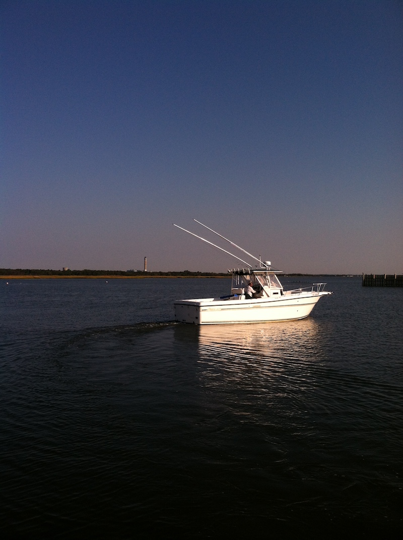 Carrie Lynn Fishing Charters | 551 Roosevelt Blvd, Marmora, NJ 08223 | Phone: (609) 703-6744