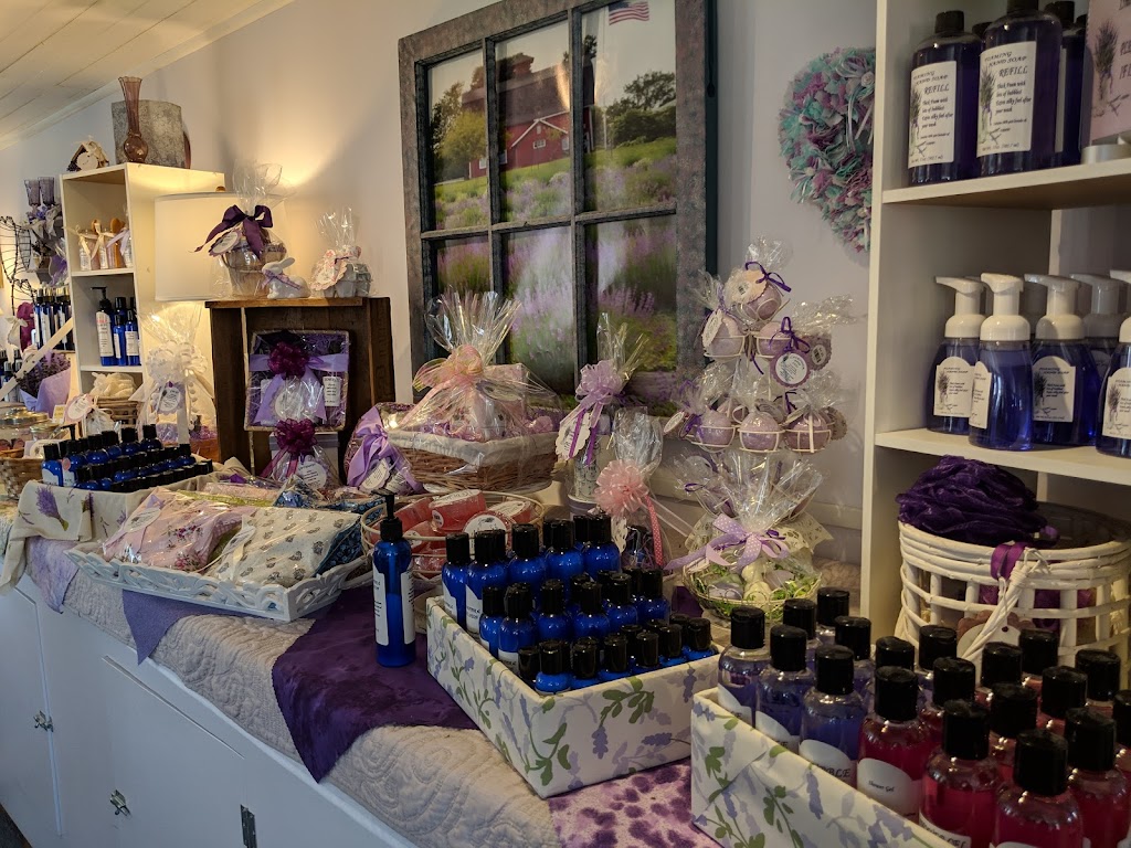 Hidden Spring Lavender & Alpaca Farm | 890 Belle Mead-Blawenburg Rd, Skillman, NJ 08558 | Phone: (609) 558-7034