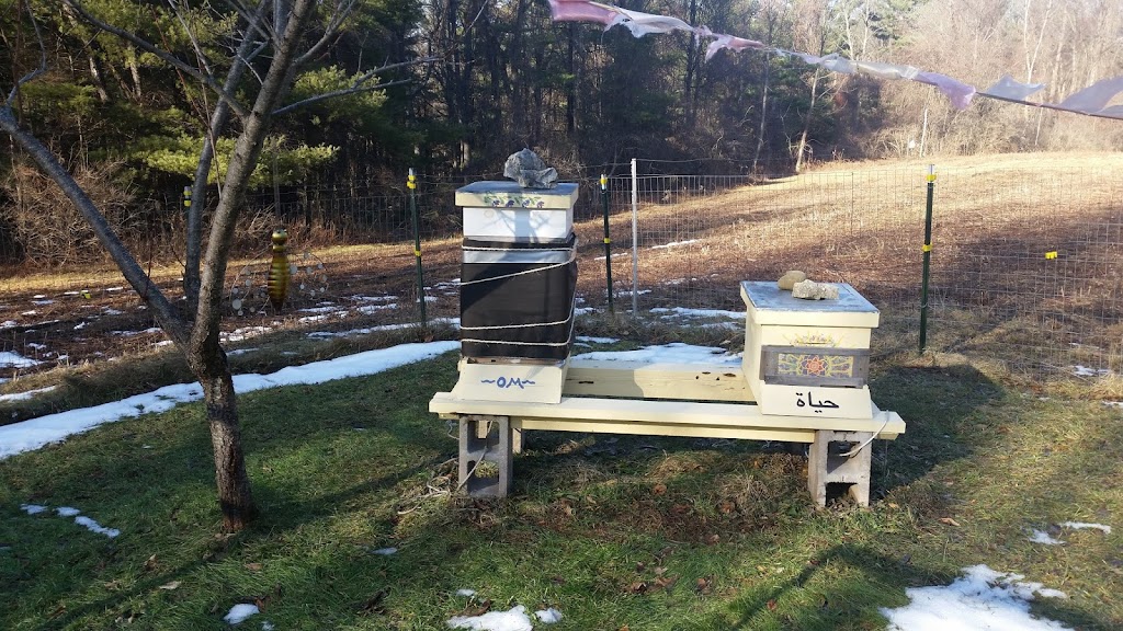 Blessed Bee Sanctuary | 164 Chair Factory Rd, New Lebanon, NY 12125 | Phone: (413) 358-7816