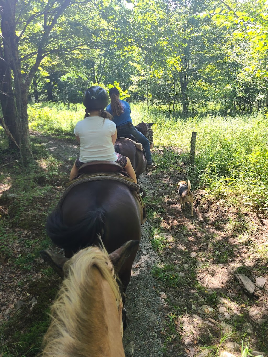 Why-Not Riding Stable | 340 Wallace Rd, Lake Ariel, PA 18436 | Phone: (570) 503-9074
