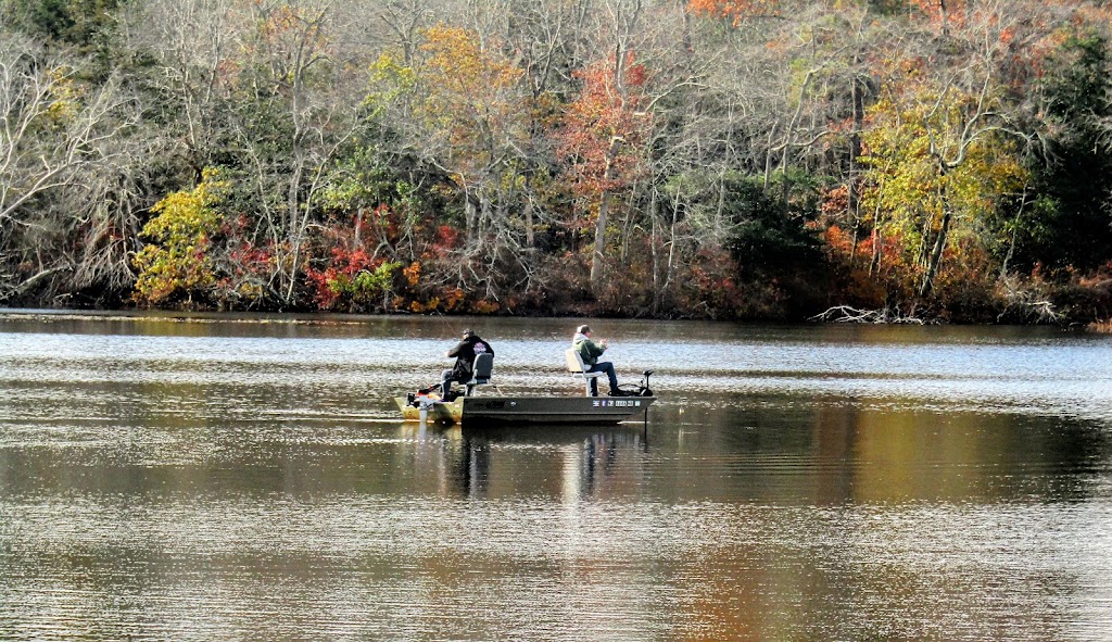 Thundergust Lake Cabin Area | Pittsgrove, NJ 08318 | Phone: (609) 358-8686