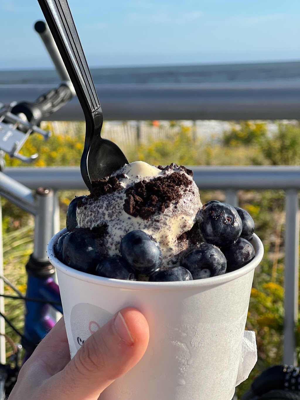 Coastal Frozen Yogurt | 108-19 Rockaway Beach Dr, Rockaway Park, NY 11694 | Phone: (718) 474-0700